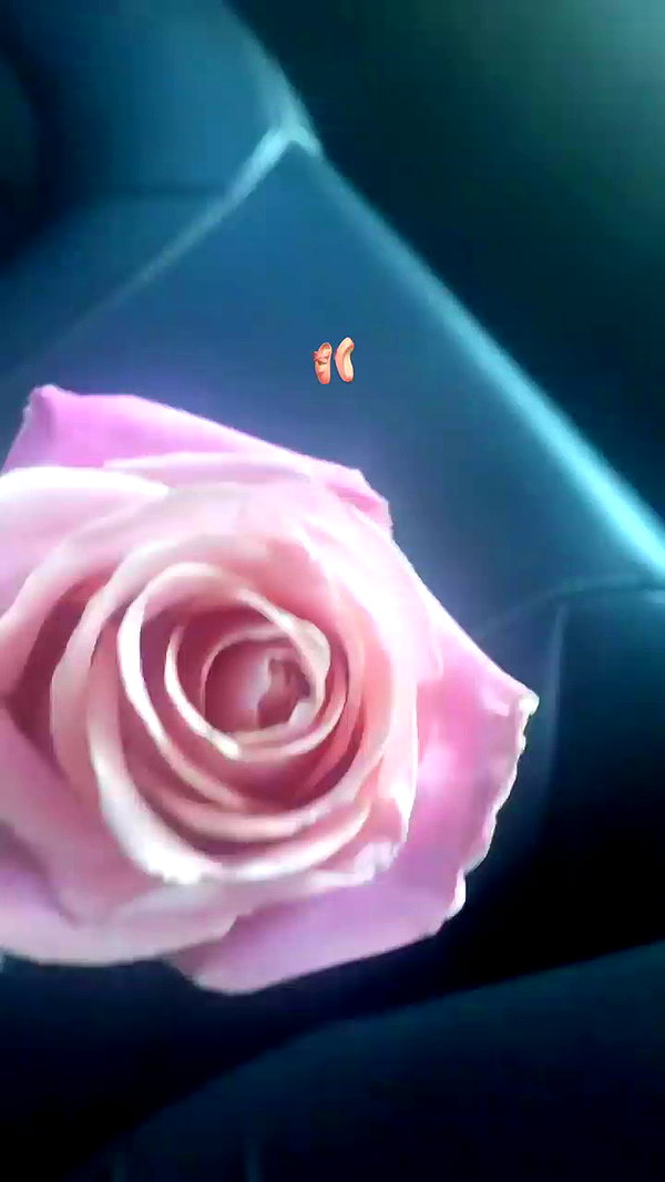 elizabethcampbelljones archive video preview