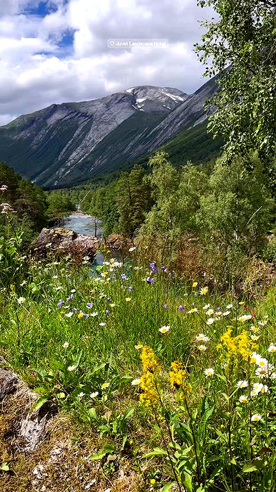 taylor.creeden taylor.creeden archive video