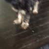 ashleybenson Altpins Profile Picture