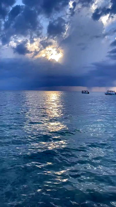 shunli__mei shunli__mei archive video