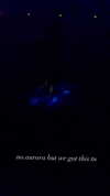 fish_fingiiies Altpins Profile Picture