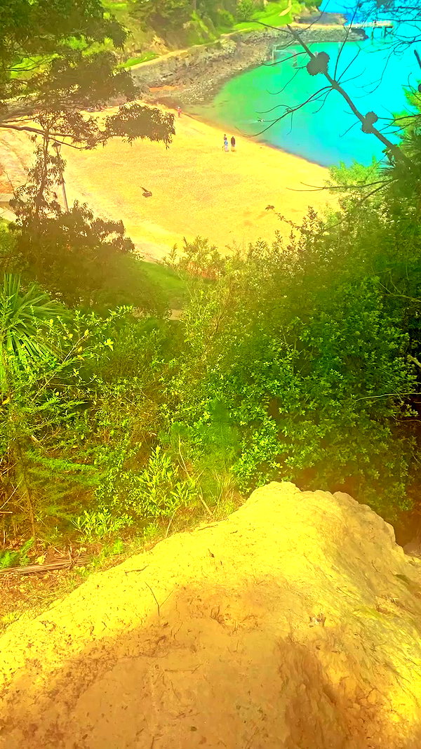 aleiisha.piixiie archive video preview