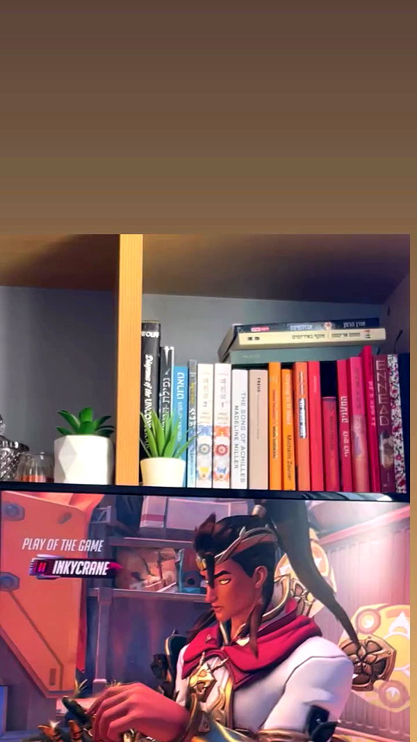 dante_yangpa archive video preview