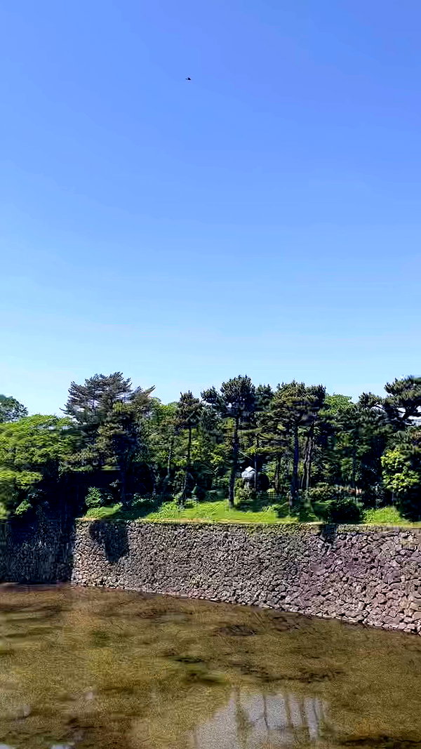 notchicore archive video preview