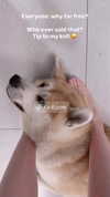 pilmeny.chan Altpins Profile Picture