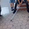 camimendes Altpins Profile Picture