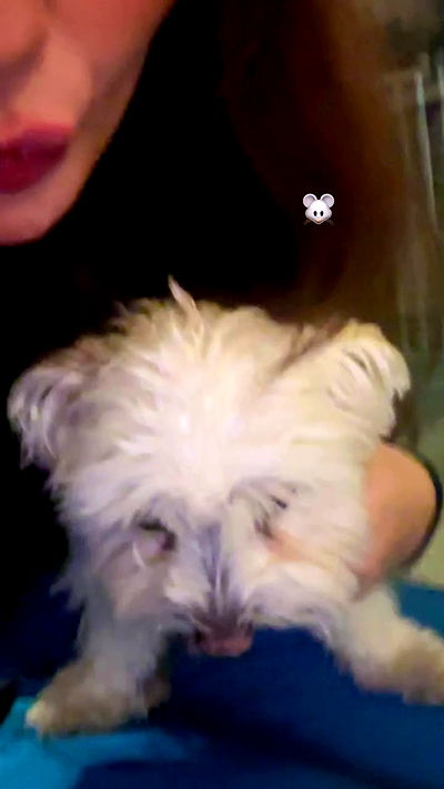 manjolamuriqi manjolamuriqi archive video