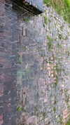 elizabethcampbelljones Altpins Profile Picture