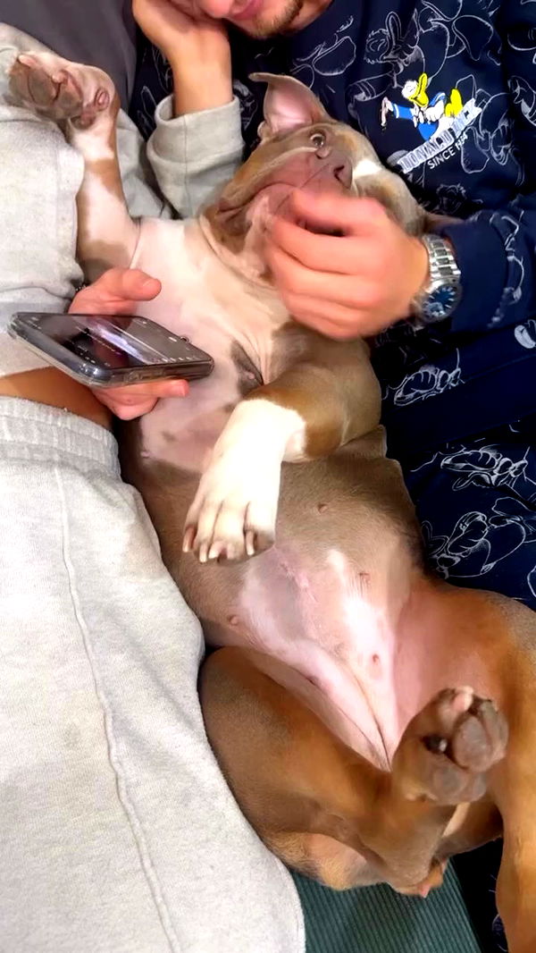 kesemgreenyer archive video preview