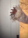 fair_mua Altpins Profile Picture