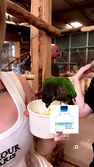 vwnrottie vwnrottie archive video