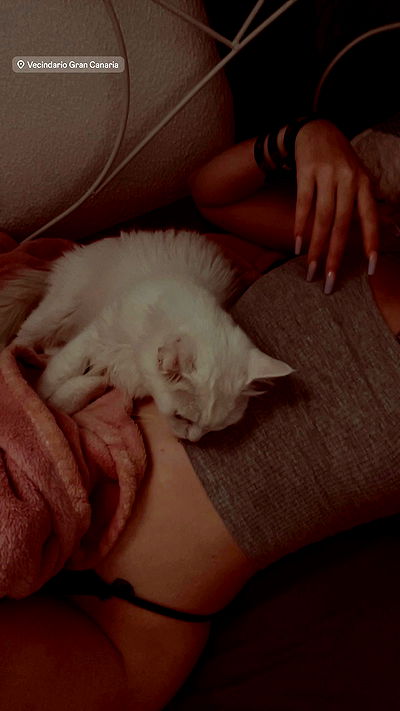 sina.njck sina.njck archive video