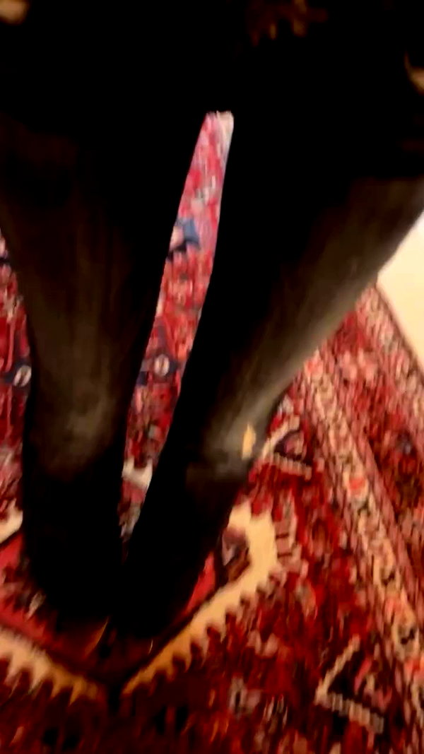 elizabethcampbelljones archive video preview