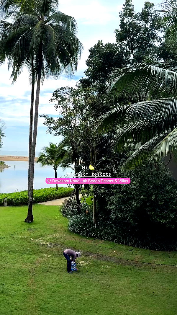maya.keyy archive video preview