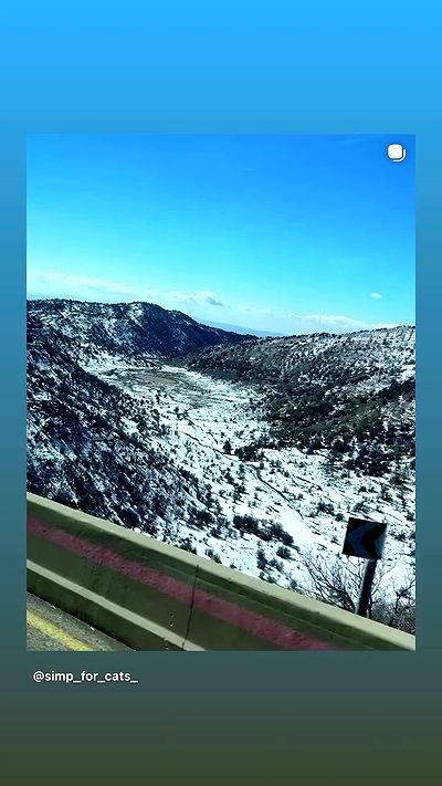 simp_for_cats_ simp_for_cats_ archive video