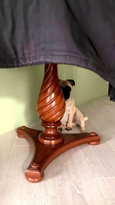 nyityam nyityam archive video