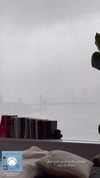 rouxroux.tv Altpins Profile Picture