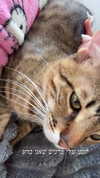 hellokittyangel666 Altpins Profile Picture