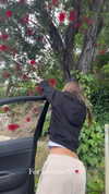 elizabethcampbelljones Altpins Profile Picture