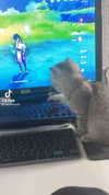 meiiisame Altpins Profile Picture