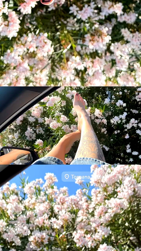 orman.mariee archive video preview