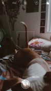 _mashachka_ Altpins Profile Picture