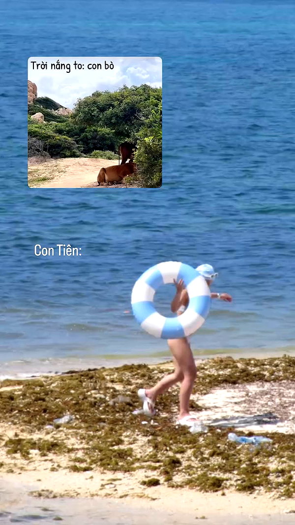 tinee_tt archive video preview