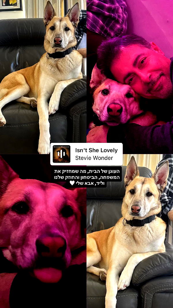 moonliliaght archive video preview