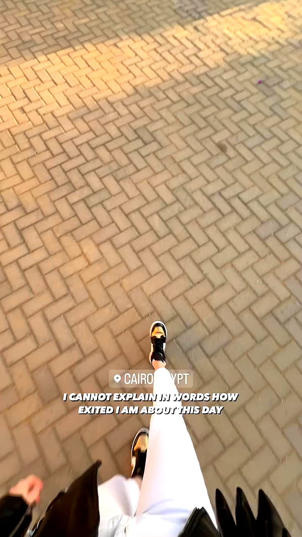 levsave archive video preview