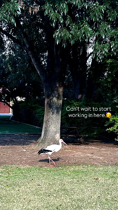 feelbetterinmysweater feelbetterinmysweater archive video