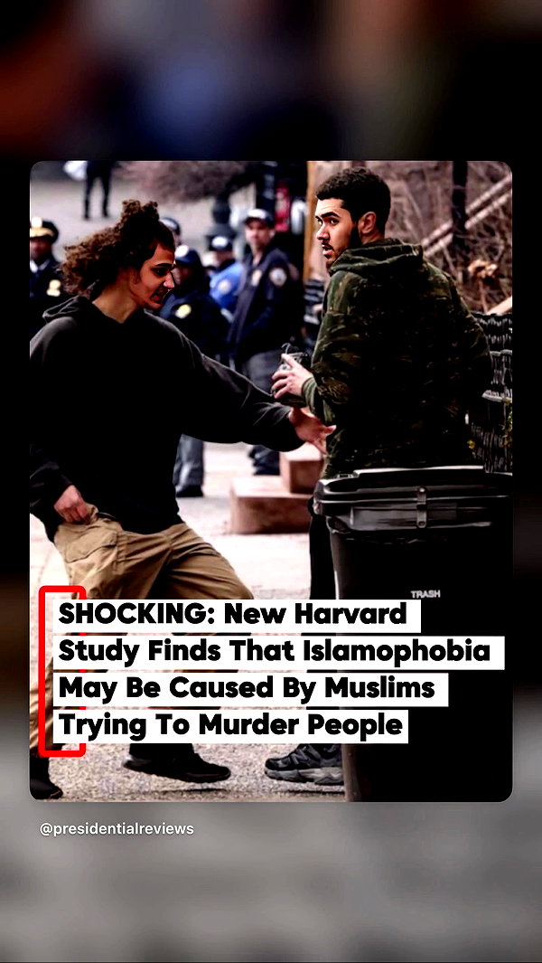 yannaidebeer archive video preview