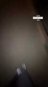 mishel_d_ Altpins Profile Picture
