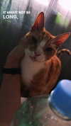 _ociaa_05 Altpins Profile Picture