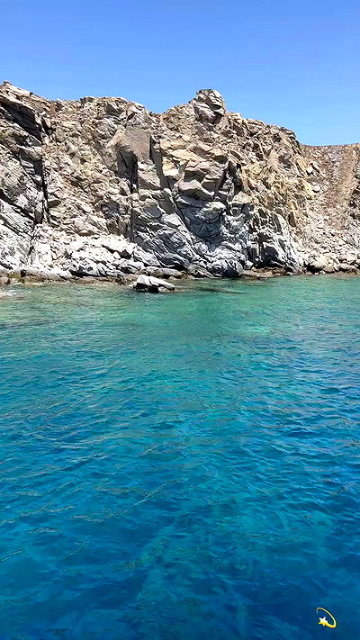 taylor.creeden taylor.creeden archive video