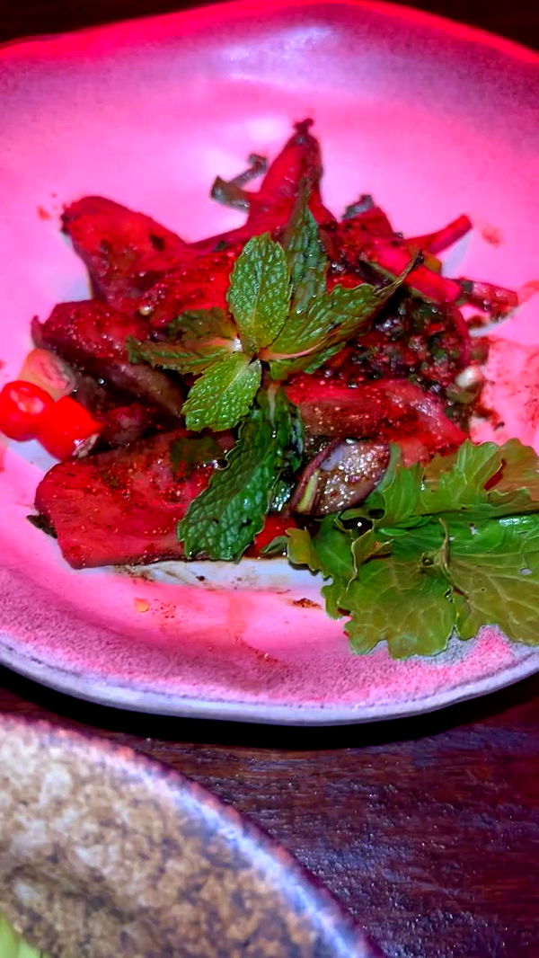 yam_adler archive video preview