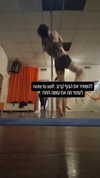 shayli_or Altpins Profile Picture