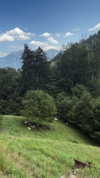 lotembar Altpins Profile Picture