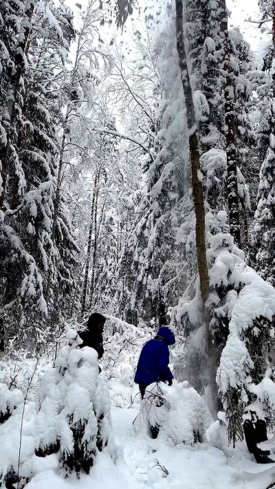 pinx_ir pinx_ir archive video