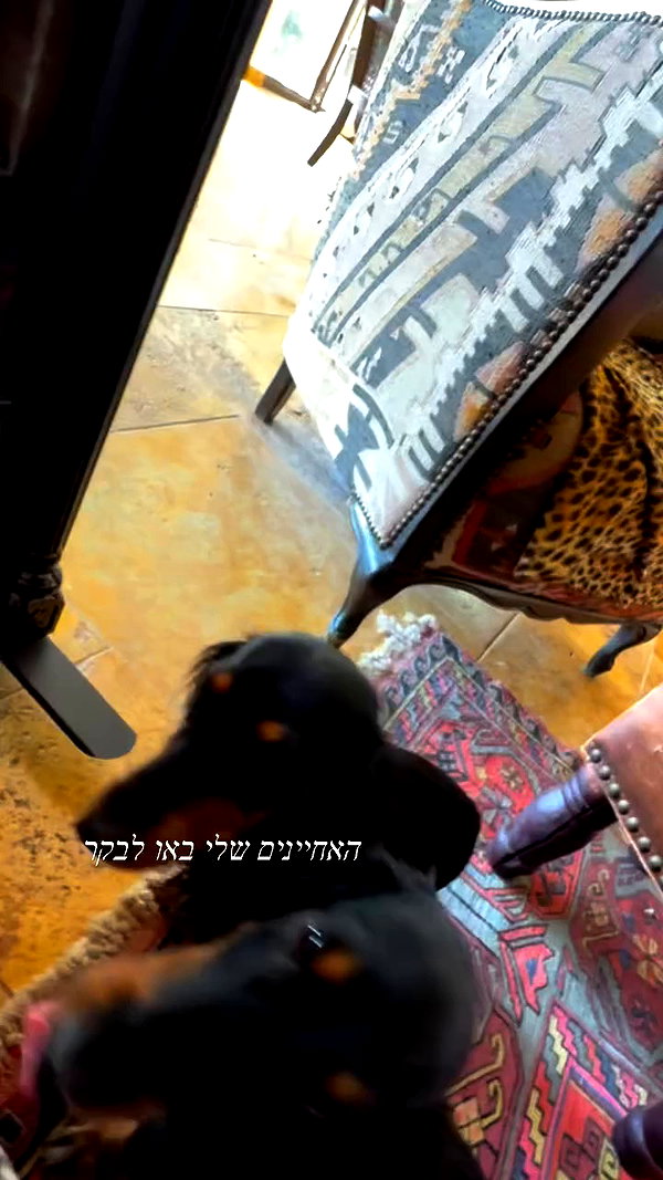 libby_reut archive video preview