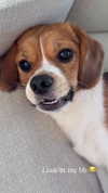 kyla.doddsss Altpins Profile Picture