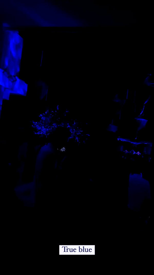 azzyland archive video preview