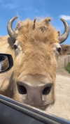 jeanlouiee Altpins Profile Picture