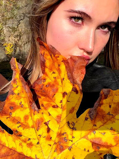 taylor.creeden taylor.creeden archive video