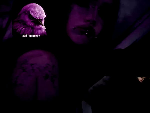 hanfbbae archive video preview