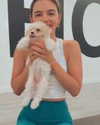 lucyhale Altpins Profile Picture