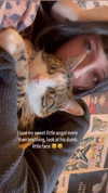 jahia_brown Altpins Profile Picture