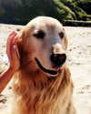 elizabethcampbelljones Altpins Profile Picture