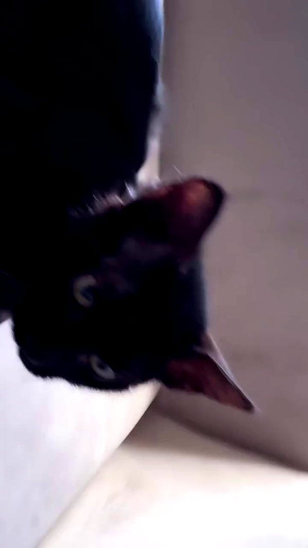 babynympho_archive archive video preview
