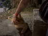 gissell_eli Altpins Profile Picture