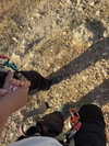 mishel_d_ Altpins Profile Picture